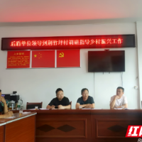 蓝山县新华书店调研荆竹坪村乡村振兴工作