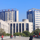 医疗服务提升年丨永州市中心医院多科联动开展“世界肝炎日”义诊