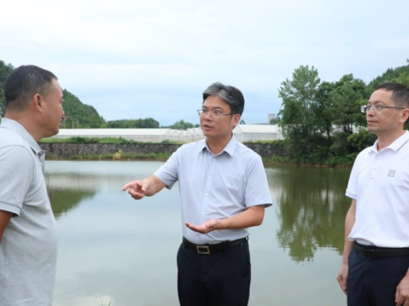 新田:陈雄到一线督导调研项目建设和防汛备汛工作