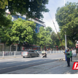 江永：精细化消杀 守护绿荫民生
