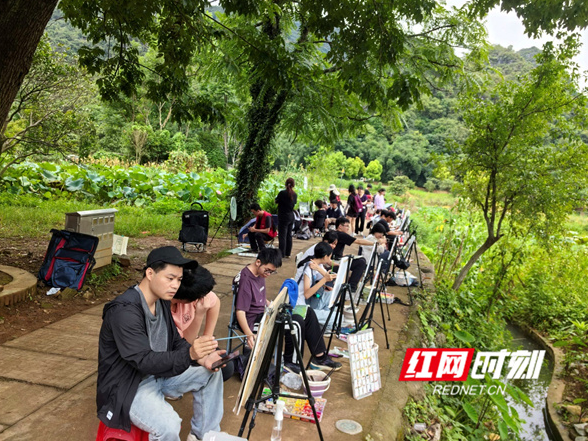 湖南江永：研学热带动产业兴