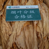 道县：“金叶”飘香收购忙 全链服务保增收
