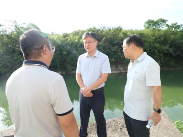 新田：陈雄专题调研生态环境工作