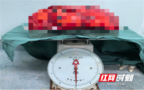 133.jpg