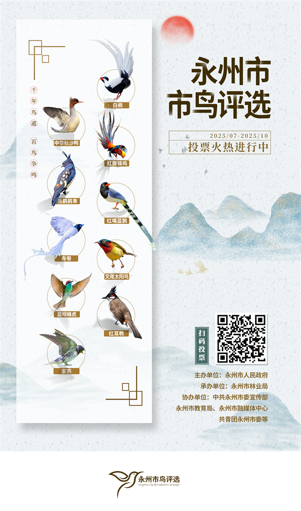 市鸟评选宣传海报.jpg