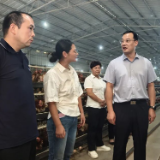 道县：唐超学参加县人大代表小组主题活动