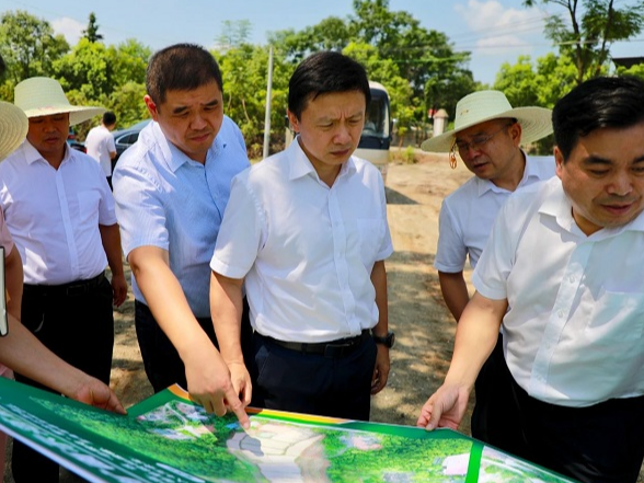 东安：唐何到乡镇调研晚稻生产工作