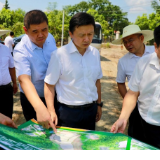 东安：唐何到乡镇调研晚稻生产工作