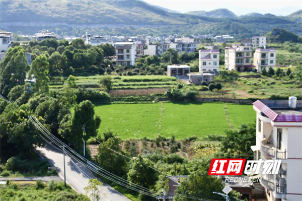 图片8.jpg