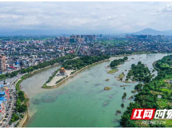 道县：狠抓晚稻生产 力保粮稳农丰
