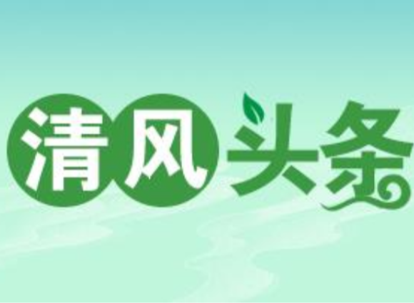 清风头条丨国网双牌县供电公司：“硬”监督优化营商“软件”环境