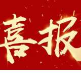 湖南科技学院美术与艺术设计学院在2025全国大学生广告艺术大赛中创历史最佳成绩