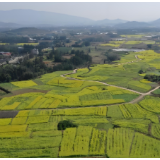 湖南江永：立足“早”字吹响秋冬种“号角”