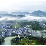 金洞：以“高位推动+乡场联动”破局 林业高质量建设跑出加速度