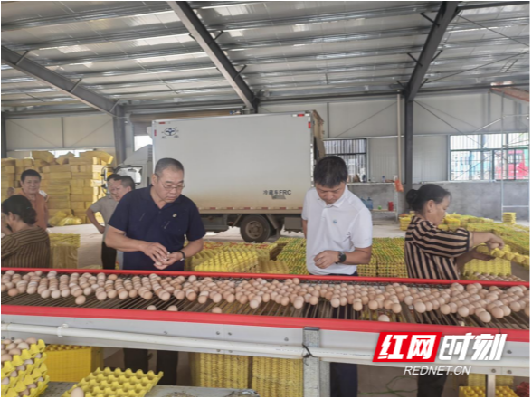 中国农科院哈尔滨兽医研究所专家赴永州调研禽流感防控工作