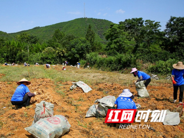 江永：科技特派员扎根一线 赋能乡村产业