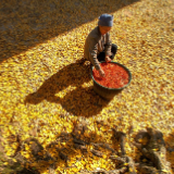 光影潇湘——潘华摄影里的永州诗行⑥（田人特辑）