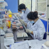 永州市动物疫病预防控制中心扎实开展第三季度动物疫病监测