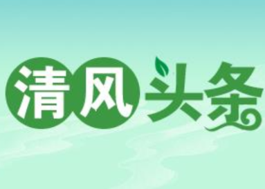 清风头条丨国网双牌供电公司：按下政治监督“快进键” 跑出电力项目建设“加速度”