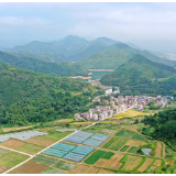 湖南新田：蔬稻轮作效益高（组图）