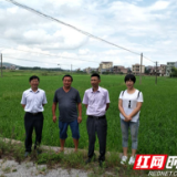 湖南农担：扶上马，送一程，做农业经营主体的贴心“护航者”