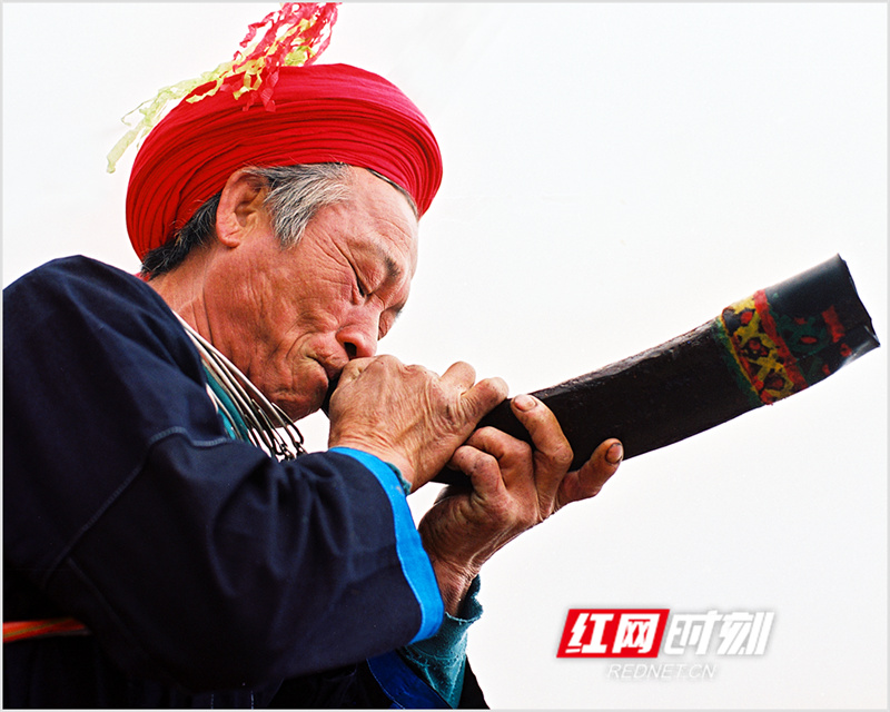 图.jpg