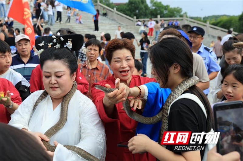 图片5.jpg