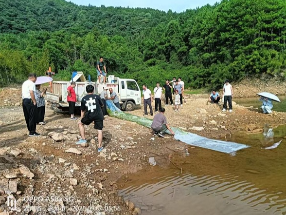 新田：百万鱼苗入水 守护流域生态平衡