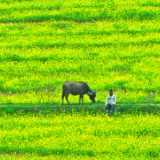 光影潇湘——潘华摄影里的永州诗行④