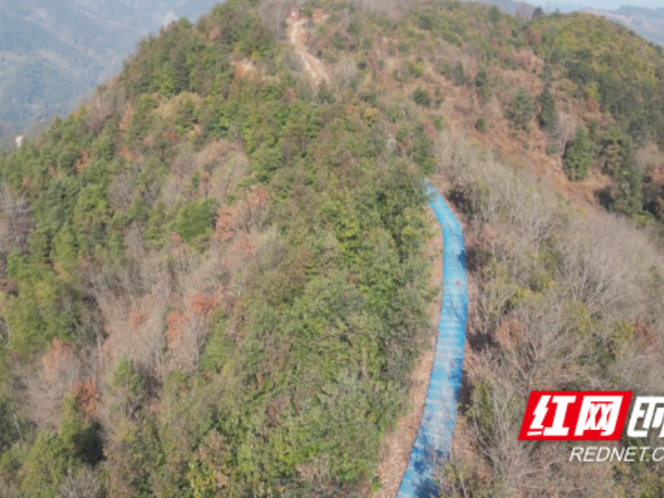 登山好去处 祁阳太白峰登峰森林康养步道悄然亮相