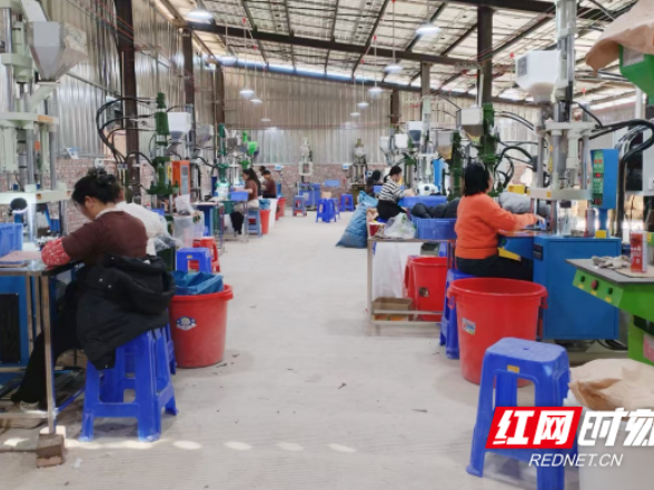 新田：电子厂落户小乡村 政企同心跑出营商“加速度”