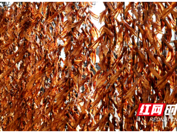 江永开展腌腊制品专项检查 守护传统年味“舌尖安全”