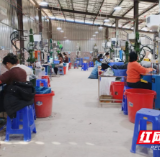 新田：电子厂落户小乡村 政企同心跑出营商“加速度”