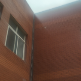 文化永州丨你终究眷恋着这世间的轻