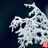 新田：寒潮来袭 高海拔山区出现雾凇冰挂景观