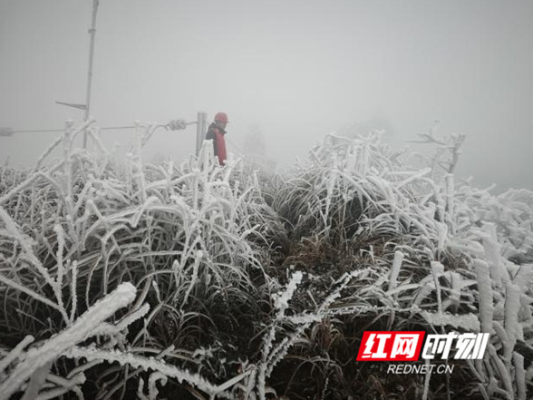 永州：与寒潮“竞速” “永电人”逆行护线“永冲锋”