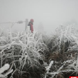 永州：与寒潮“竞速” “永电人”逆行护线“永冲锋”