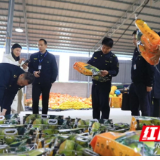 江永市监突击检查 护航农特产品品牌声誉