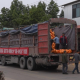 岳阳客商千里助销江永香柚