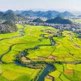 湖南永州：当“四员”赋能 奏农业经济高质量发展强音