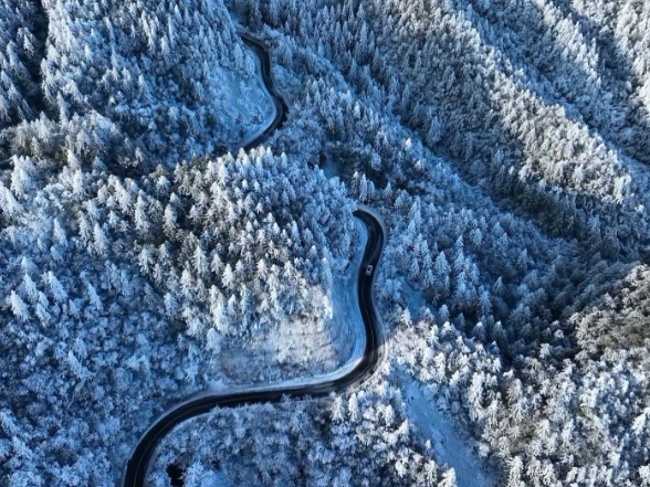 视频丨湖南永州：双牌阳明山迎2026年首场降雪 银装素裹宛若仙境