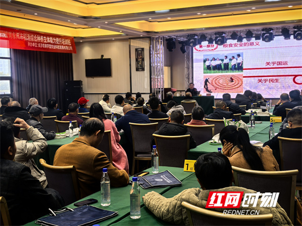 微信图片_20260128090029_9167_11.jpg 微信图片_20260128090029_9167_11.jpg