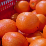 文化永州丨嶷山阿云：一月的共振