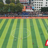 湖南新田：绿茵点燃足球热（组图）