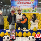 江永：冠军流量赋能乡村振兴 直播带火香柚