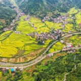 道县：聚焦推动“三化共进” 加快城乡融合发展步伐