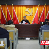 新田：陈雄到龙泉街道集中宣讲党的二十届四中全会精神