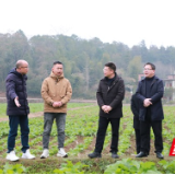 东安:蒋华调研秋冬农业生产和农业产业工作