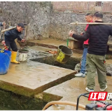 新春走基层丨湖南新田：干群同心擦亮乡村“颜值” 清爽文明迎接新春佳节