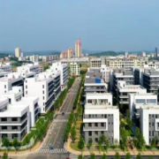 新春走基层丨湖南祁阳：路通水畅百业兴